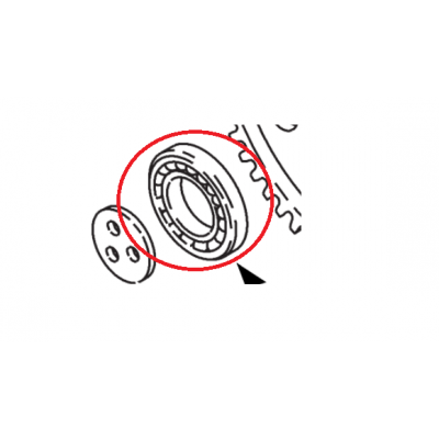 Bearing, Idler gear 304080A (New)